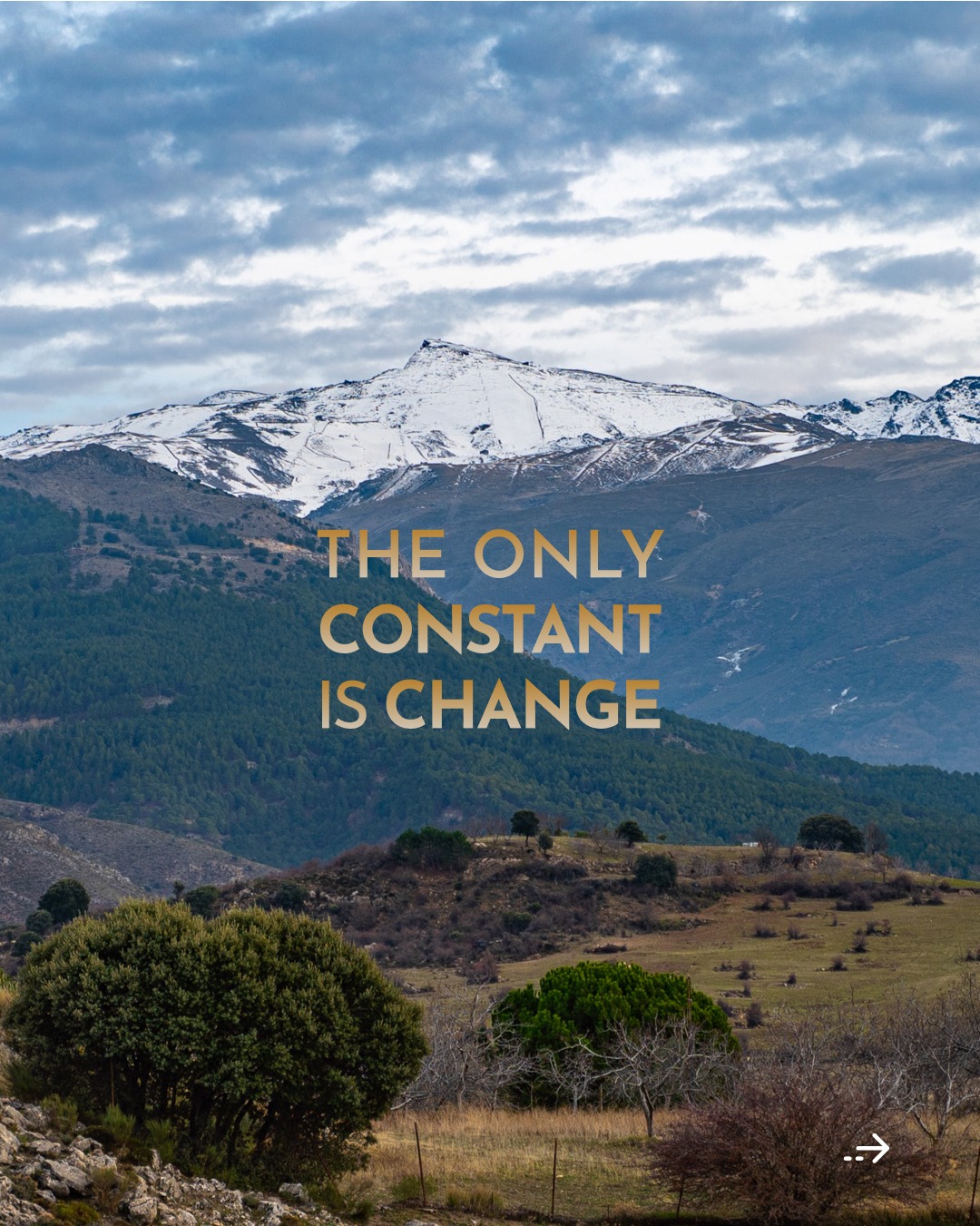 In the foothills of the Sierra Nevada